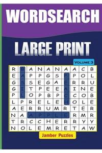 Word Search Large Print - Volume 3