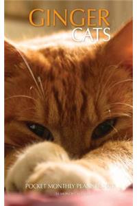 Ginger Cats Pocket Monthly Planner 2017