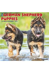 Just German Shepherd Puppies 2019 Wall Calendar (Dog Breed Calendar)