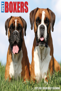 Just Boxers 2021 Box Calendar (Dog Breed Calendar)