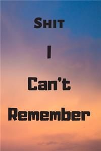 Shit I Can't Remember