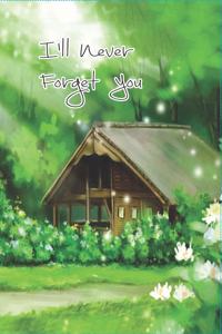 I'll never forget you