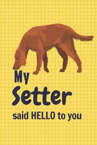 My Setter said HELLO to you