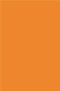 2020 Daily Planner Orange Color Simple Plain Orange 388 Pages