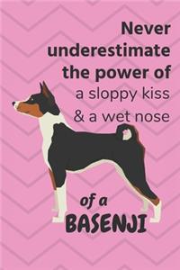 Never underestimate the power of a sloppy kiss & a wet nose of a Basenji