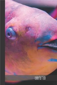 colorful fish