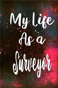 My Life as a Surveyor