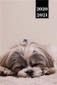 Shih Tzu Dog Calendar Week Planner 2020 / 2021 - Sleeping Napping