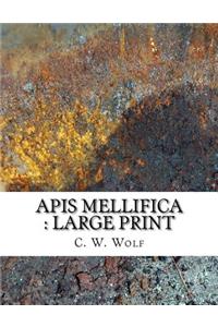 Apis Mellifica