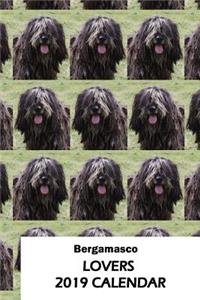 Bergamasco Lovers 2019 Calendar