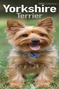 Yorkshire Terrier Slim Calendar 2019