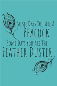 Some Days You Are a Peacock, Some Days You Are the Feather Duster