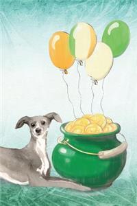 Italian Greyhound