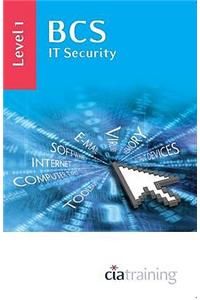 BCS IT Security Level 1