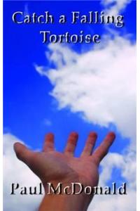 Catch a Falling Tortoise
