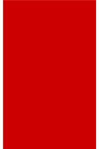 Red 101 - Lined Notebook