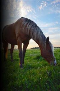Grazing Pasture Horse: 150 Pages Lined Journal / Notebook