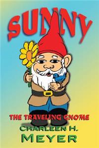 Sunny the Traveling Gnome