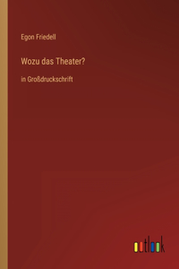 Wozu das Theater?