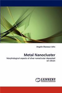 Metal Nanocluster