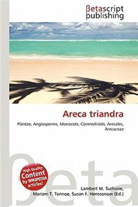 Areca Triandra