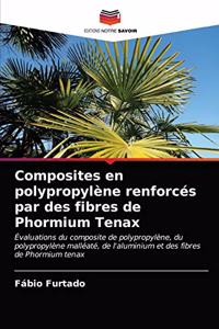 Composites en polypropylène renforcés par des fibres de Phormium Tenax