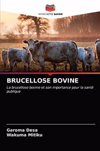 Brucellose Bovine