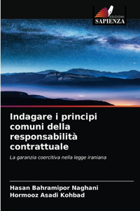 Indagare i principi comuni della responsabilità contrattuale