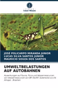 Umweltbelastungen Auf Autobahnen