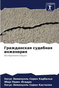 Гражданская судебная инженерия