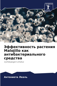 Эффективность растения Malojillo как антибактерl