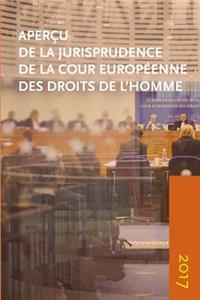 Overview of the Case-Law of the European Court of Human Rights