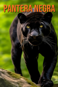 Pantera negra