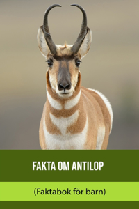 Fakta om Antilop (Faktabok för barn)