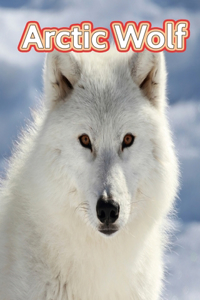 Arctic Wolf