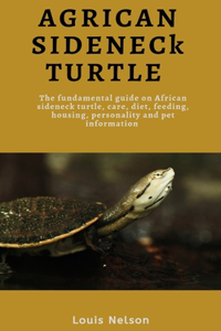 African Sideneck Turtle