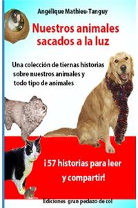 Nuestros animales sacados a la luz (historias/testimonios)