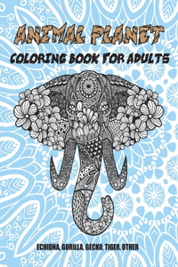 Animal Planet - Coloring Book for adults - Echidna, Gorilla, Gecko, Tiger, other