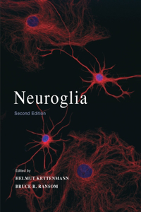 Neuroglia