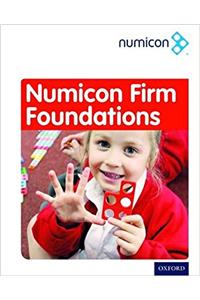 Numicon: Firm Foundations Teaching Pack