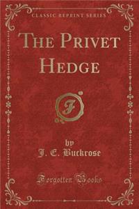 The Privet Hedge (Classic Reprint)