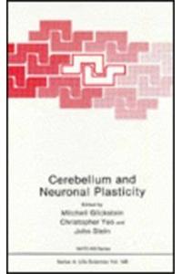 Cerebellum and Neuronal Plasticity