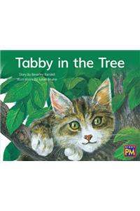 Tabby in the Tree