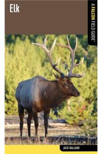 Elk