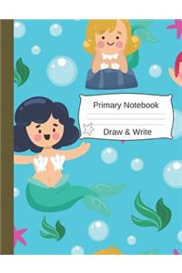 Primary Notebook Draw and Write