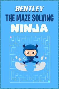 Bentley the Maze Solving Ninja