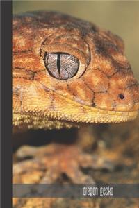 Dragon Gecko