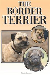 Border Terrier