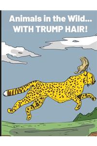 Animals in the Wild with Trump Hair