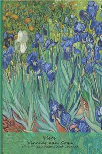 Irises Vincent van Gogh